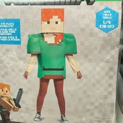 Minecraft Costume Size  10/12