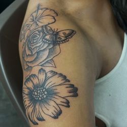 Tatu Linas  Lines 