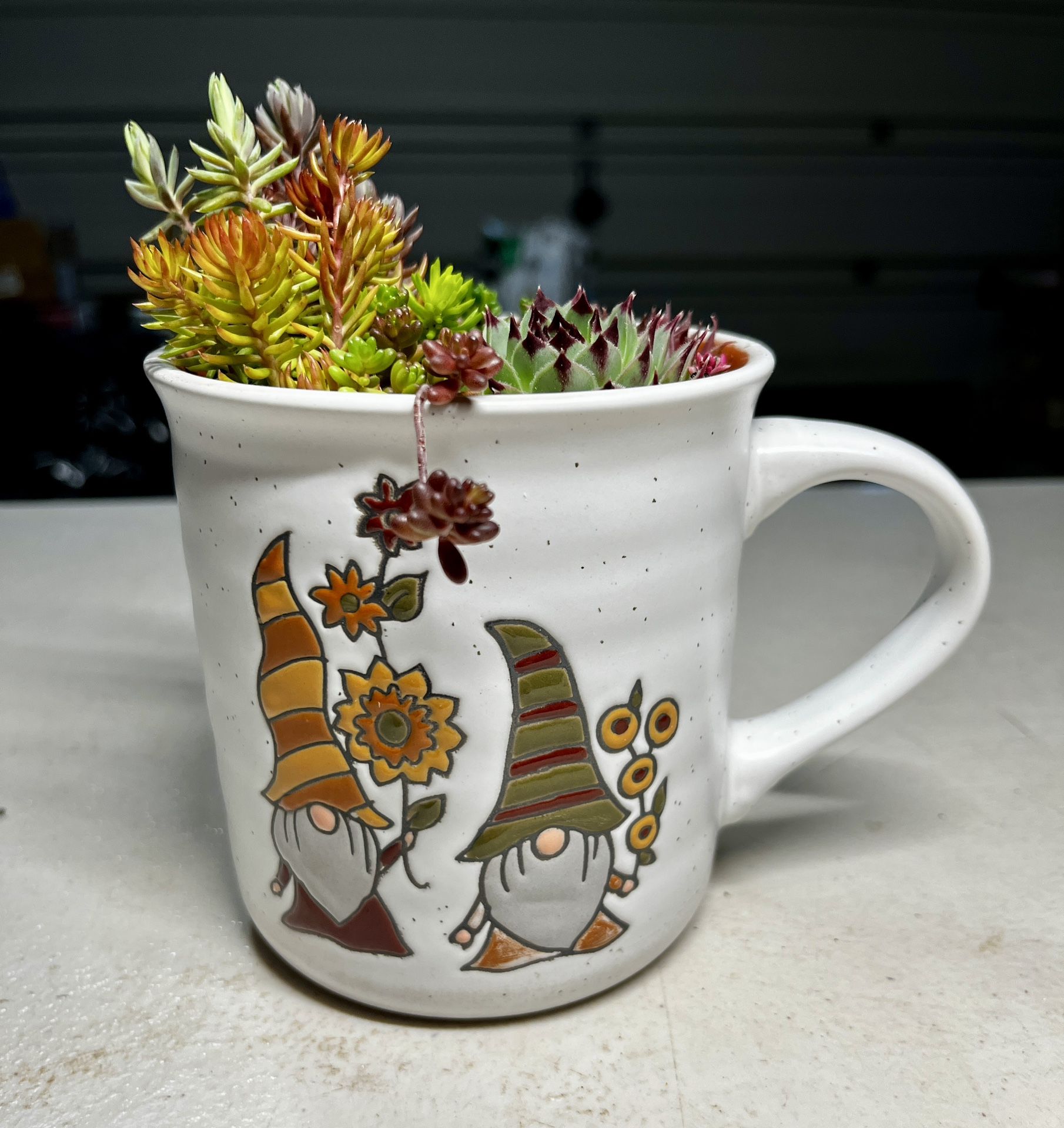 Outdoor Succulent Mug. Sammamish, Beaver Lake