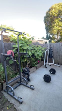 Weights, pull up tower with dip station, punching bag  with stand and gloves