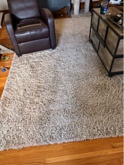 Shag Area Rug
