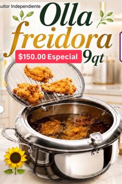 Especial $150.00 Olla Freidora 9qt Cosina Tacos Pollo Tostadas Pescado Frituras Acero Inoxidable Princess House Ventas Finales