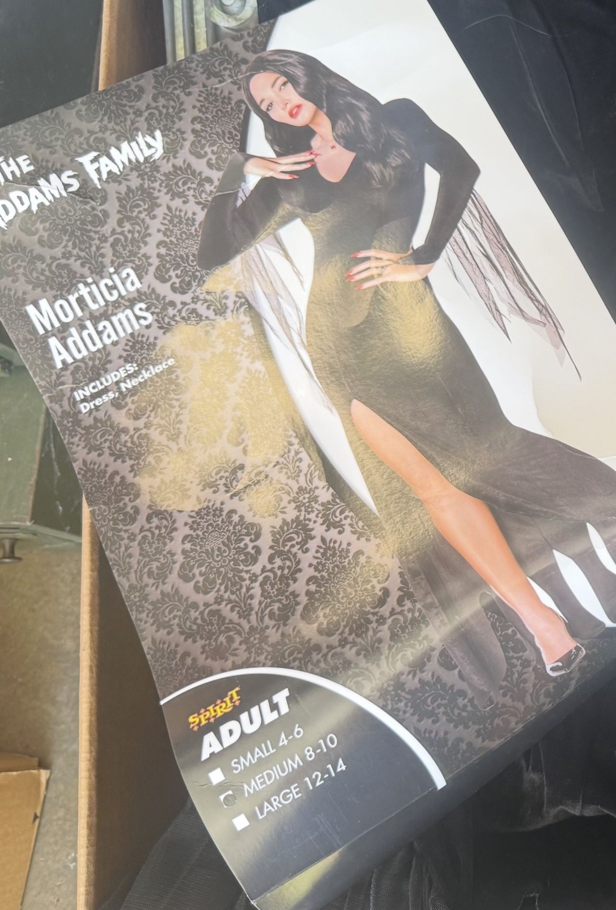 Morticia From The Adam’s Costume