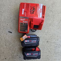 Milwaukee 18v Batteries And Charger