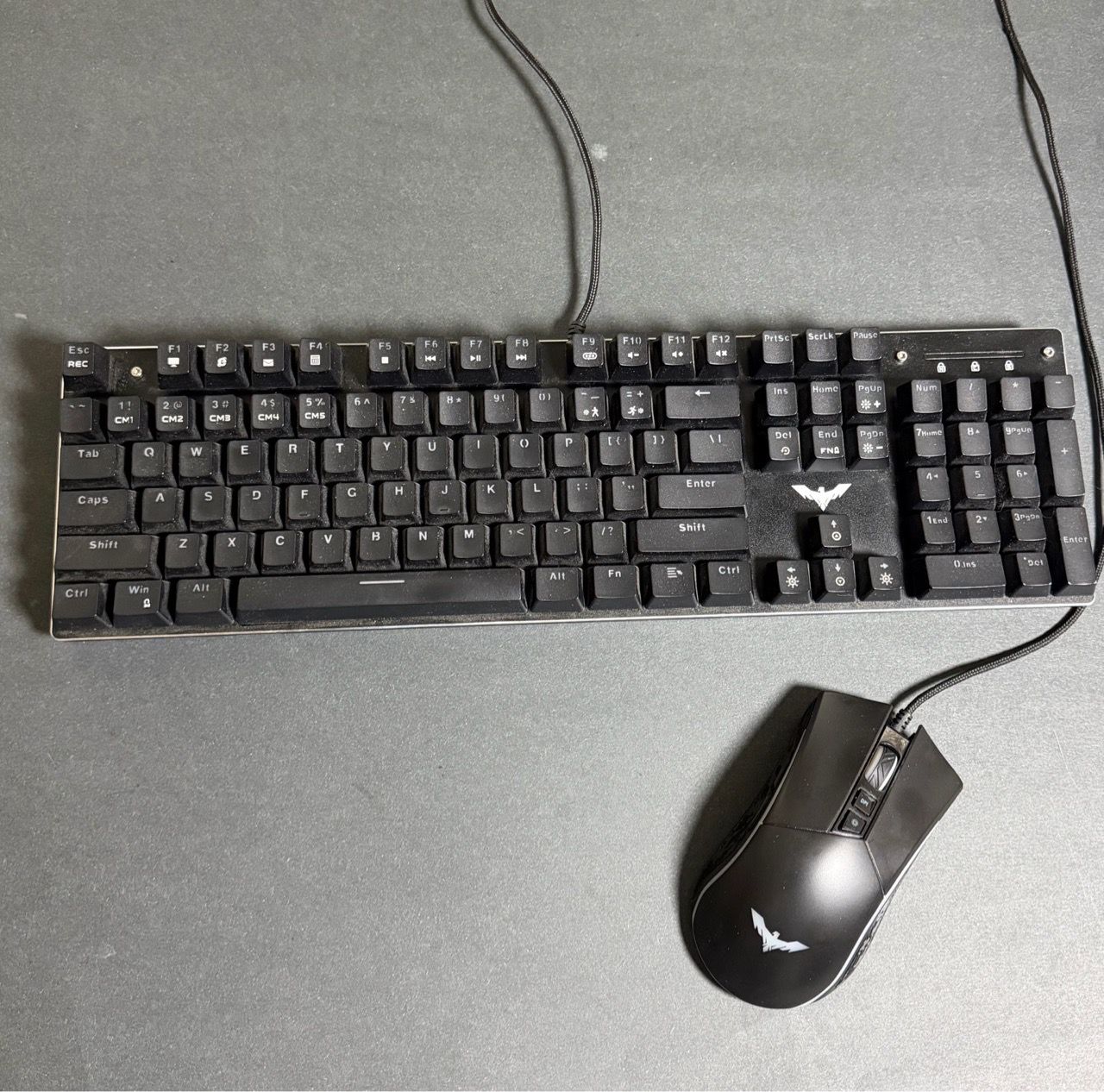 Image #1