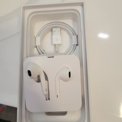 Apple Headphones 