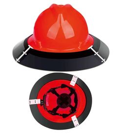 Hard hat vizor