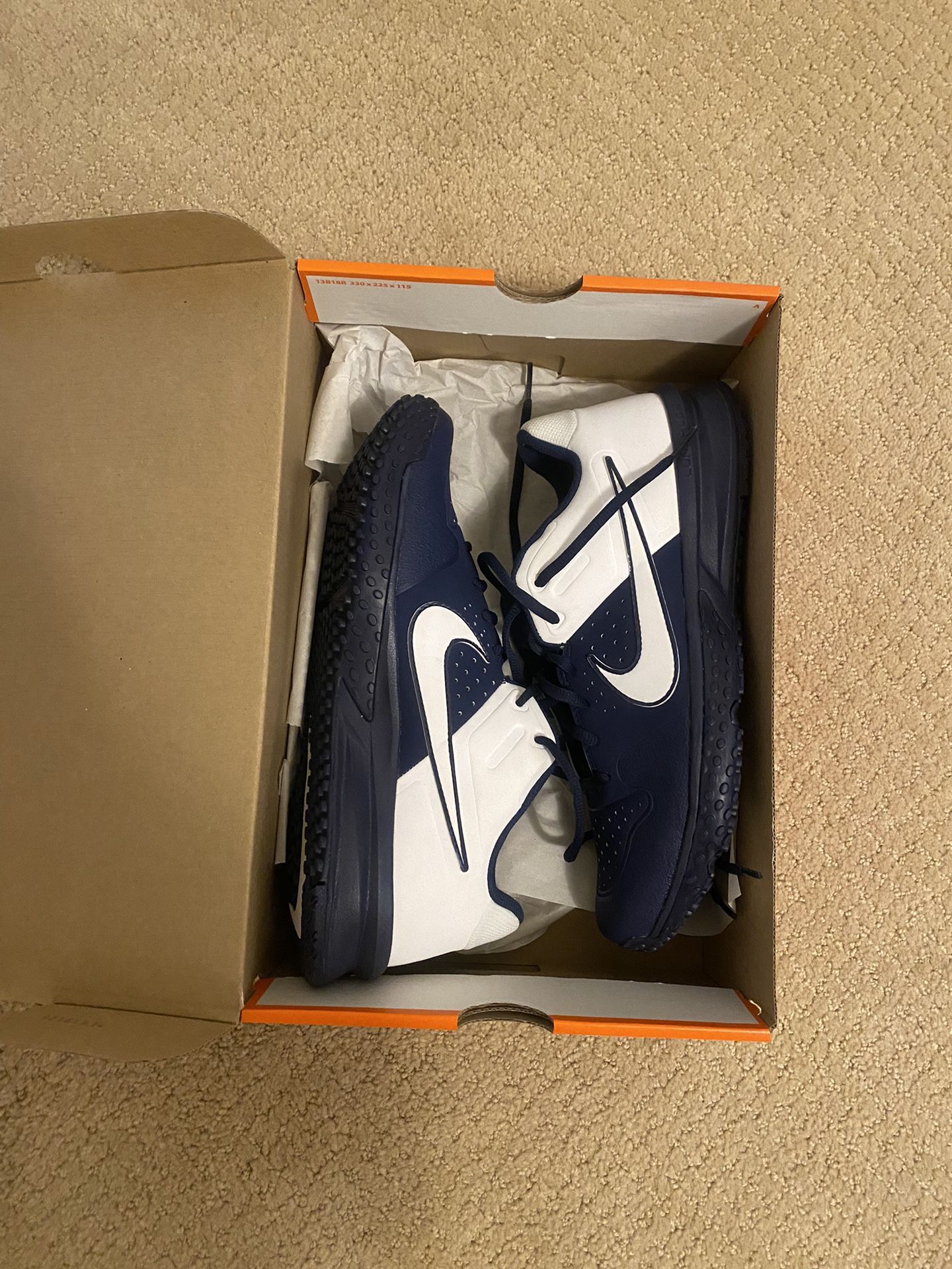 Nike Turf Shoe