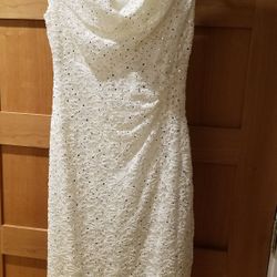Gorgeous Dress- PRICE DROP