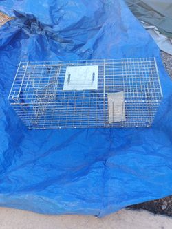 Live animal trap