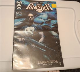 Marvel The Punisher comics