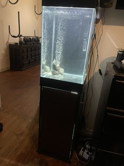 15 Gallon Fish Tank 4.5ft Tall On Stand With Everything for Sale in Long  Beach, CA - OfferUp