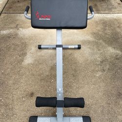 Sunny Health & Fitness 45-Degree Hyperextension Roman Chair 