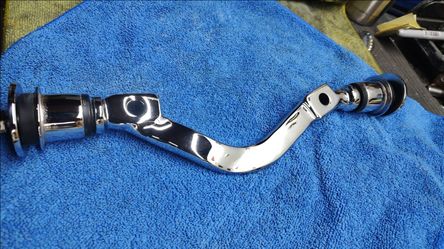 Impala Dog Bone