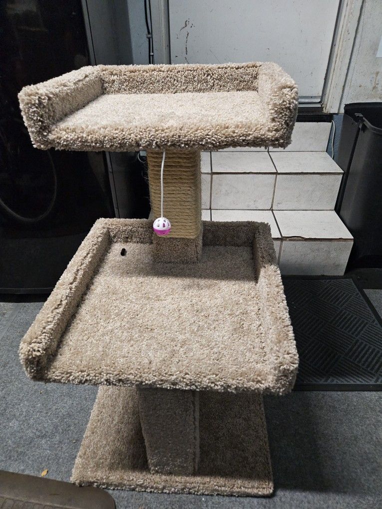 Cat Condos Spacious Cat Perch for Large Cats