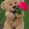Ines