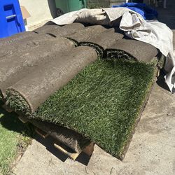 Tall Fescue - 76 square feet