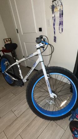 Fat Tire Bike