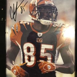 Chad Johnson Signed Pic Framed w/cert