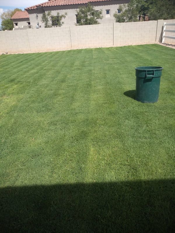 Offer Up Phoenix Az >> Landscape For Sale In Phoenix Az Offerup Offer Up Phoenix Az >> Landscape For Sale In Phoenix Az Offerup