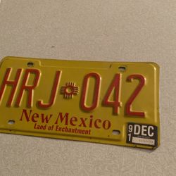NM Auto License 1991