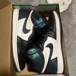 Jordan 1 All Star / Chameleon Size 11