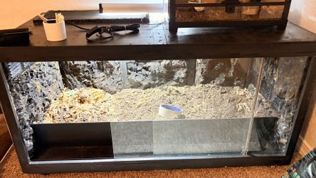 4x2x2 Bearded dragon enclosure