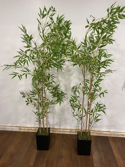 Pair of Tall Faux Bamboo Trees in Black Planters