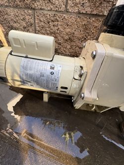 Pool Pump 