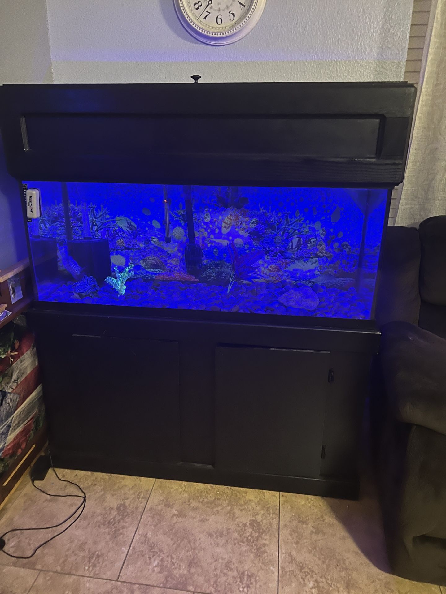 75 Gallon Aquarium