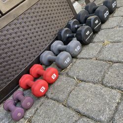 Complete Set Of 6 Pairs Of Dumbbells  - 3’s To 20’s
