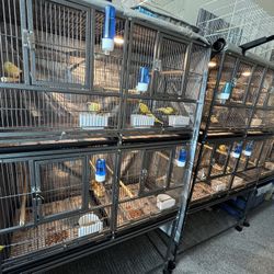Cages (Birds)
