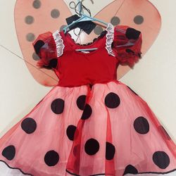 Butterfly Costume