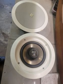 Ceiling Mounted Professional Speakers
