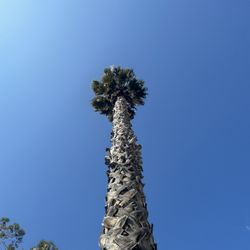 Trees And More