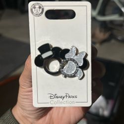Disney parks collection pin