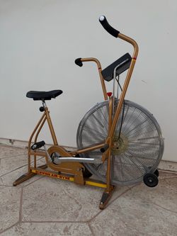 Schwinn Air-Dyne Fan Exercise Bike