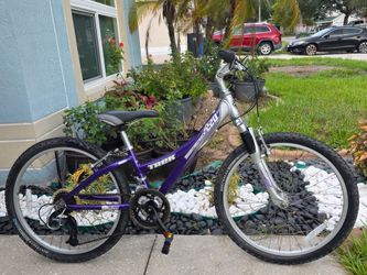 🚵‍♂️ Trek Mountain Track 220 – 14" Frame – 24" Wheels – $70