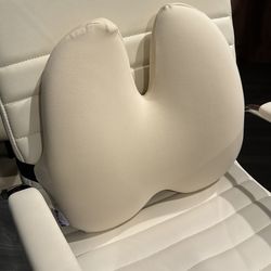 Cushion lab Back Relief Lumbar Pillow