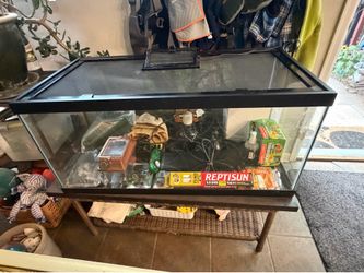 Reptile tank everything you need and new items