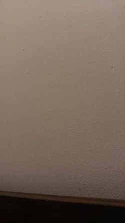 Need a dishwasher for small restaurant