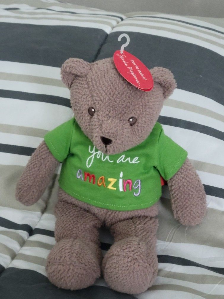 The Message Bear Brown Plush You Are Amazing Teddy Bear 