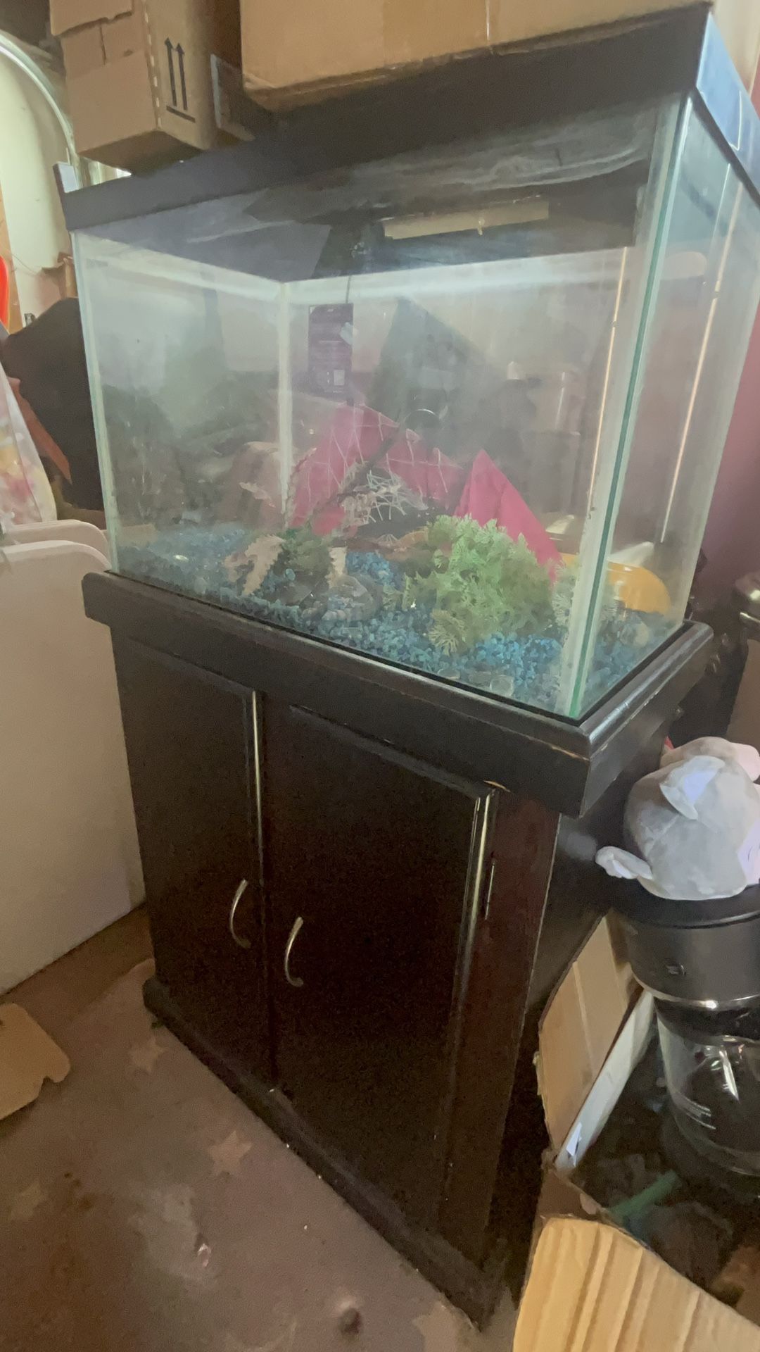 Fish Tank With Accessories And Pump