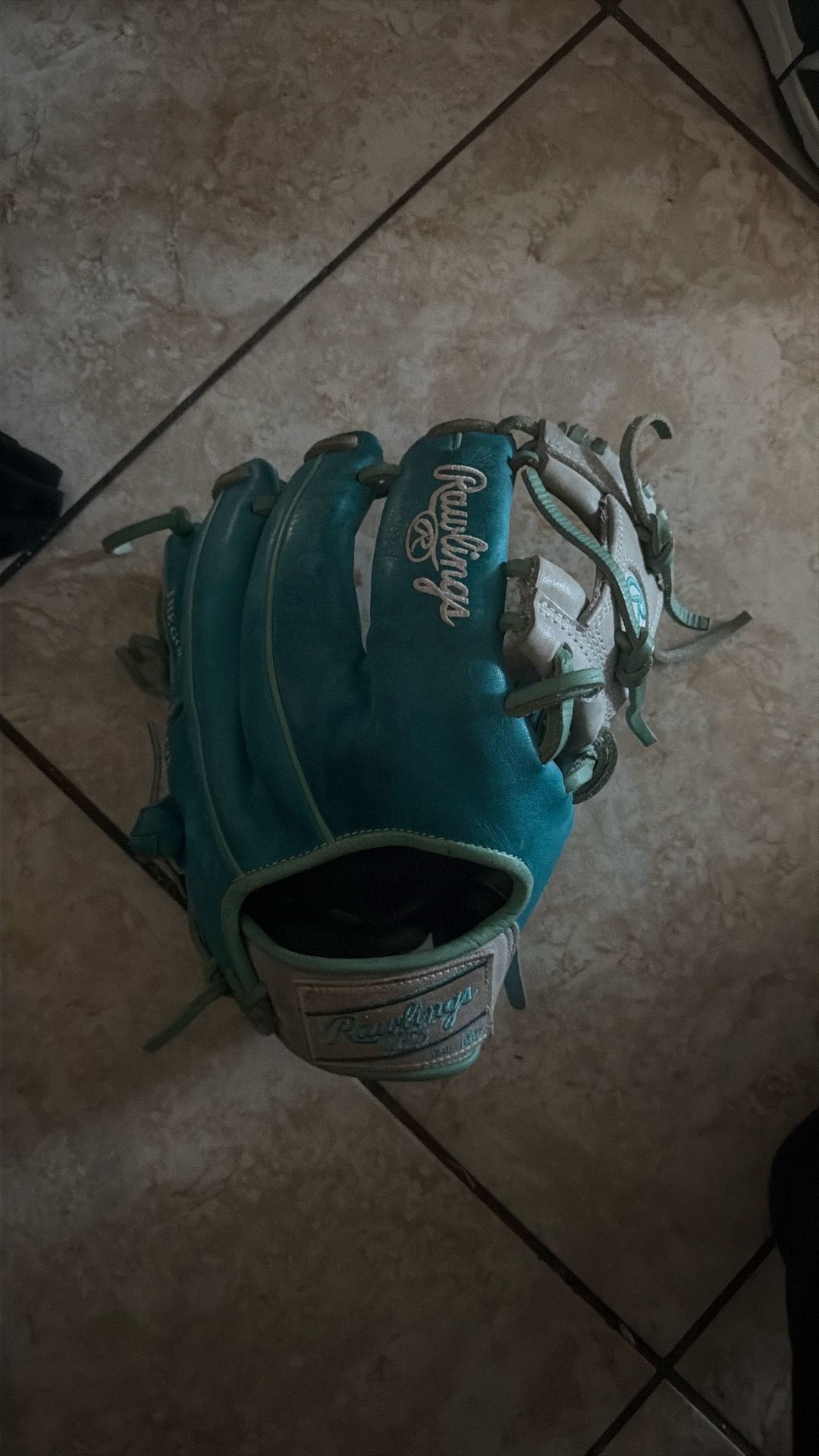 Heart of the hide baseball glove