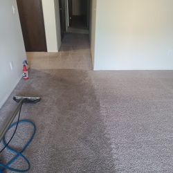 Steam Carpet Cleaner