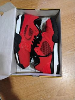 Bo Jackson nikes sb