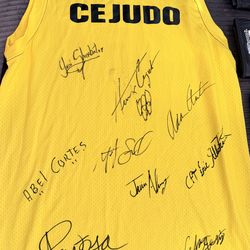 UFC AUTHENTIC GLOVES