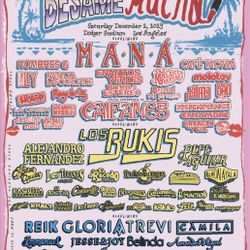 VIP TIER 2-Besame Mucho music Festival- Wristbands