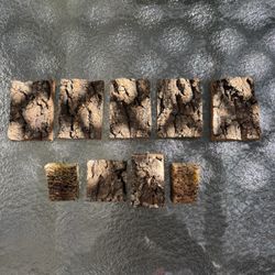 Orchid Cork Mounts 9