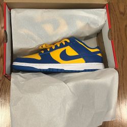 Nike Dunk Michigan 